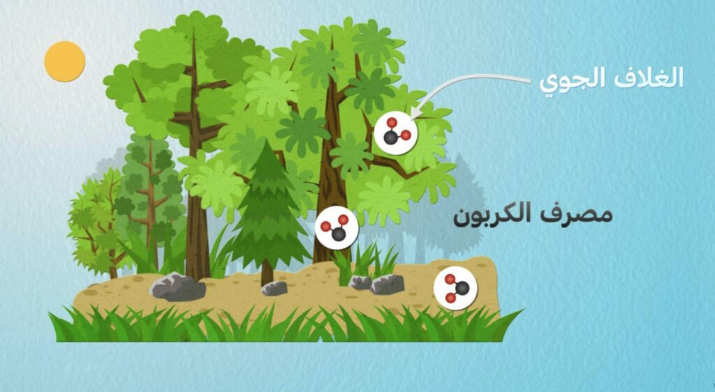 films d'information graphique